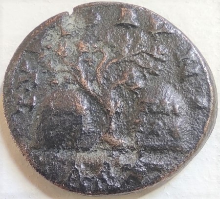 Bronze Elagabale - Tyr Phénicie - Revers à l'olivier sacré entre deux bétyles - Rouvier 2391 16552111