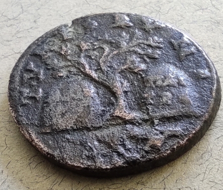 Bronze Elagabale - Tyr Phénicie - Revers à l'olivier sacré entre deux bétyles - Rouvier 2391 16553012