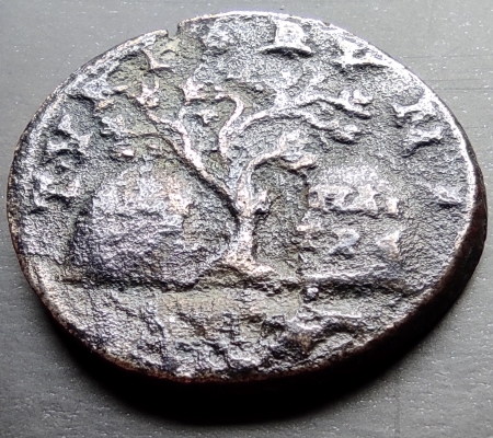 Bronze Elagabale - Tyr Phénicie - Revers à l'olivier sacré entre deux bétyles - Rouvier 2391 16553710