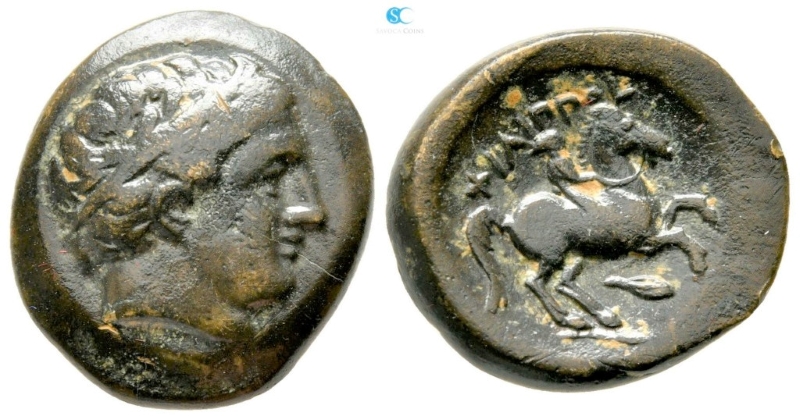 Bronze Coin of Philip II, Macedonia, 359 - 336 BC - SNG ANS de la série 850 58136411
