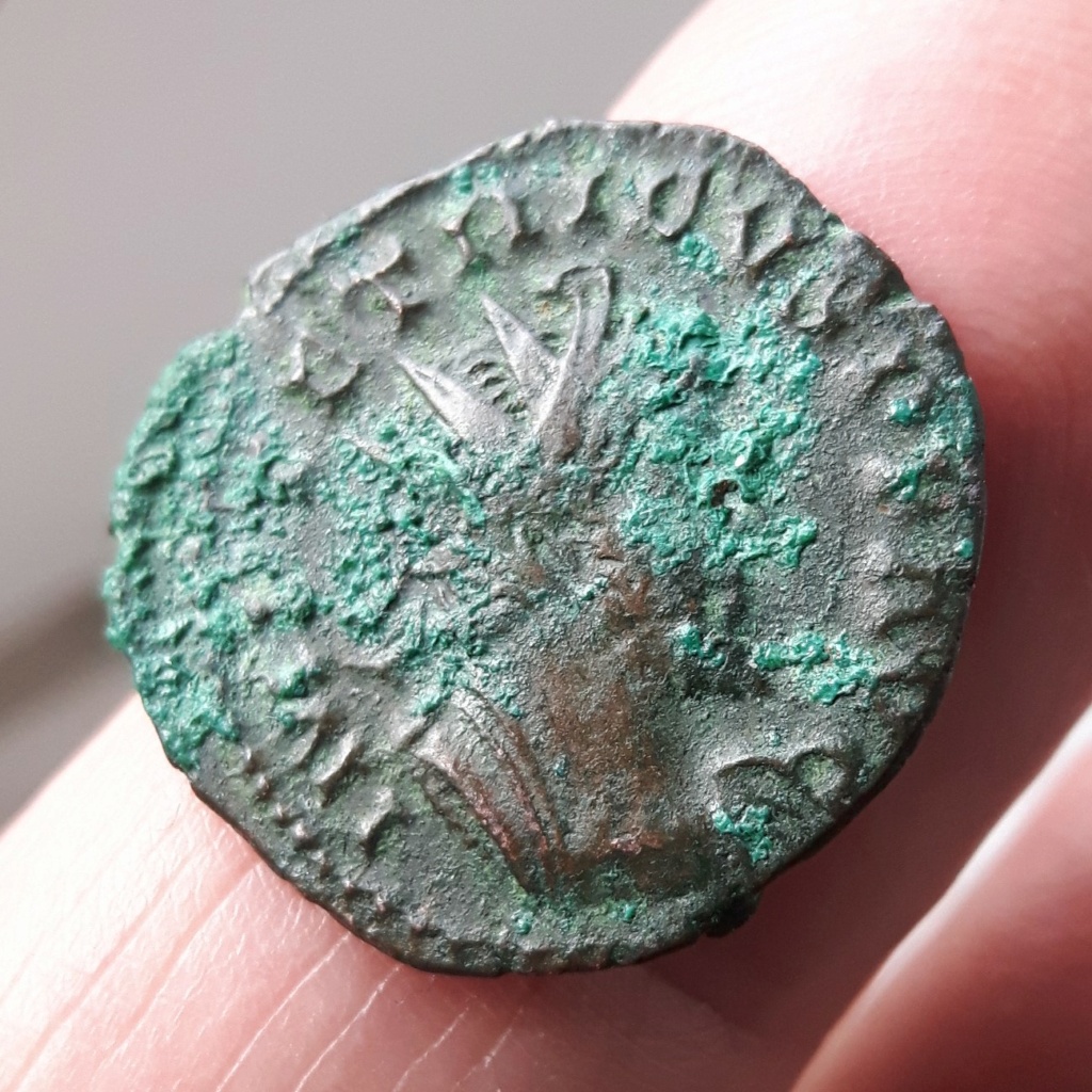tetricus - Antoninianus - Tetricus I HILARITAS AVGG Avers_35