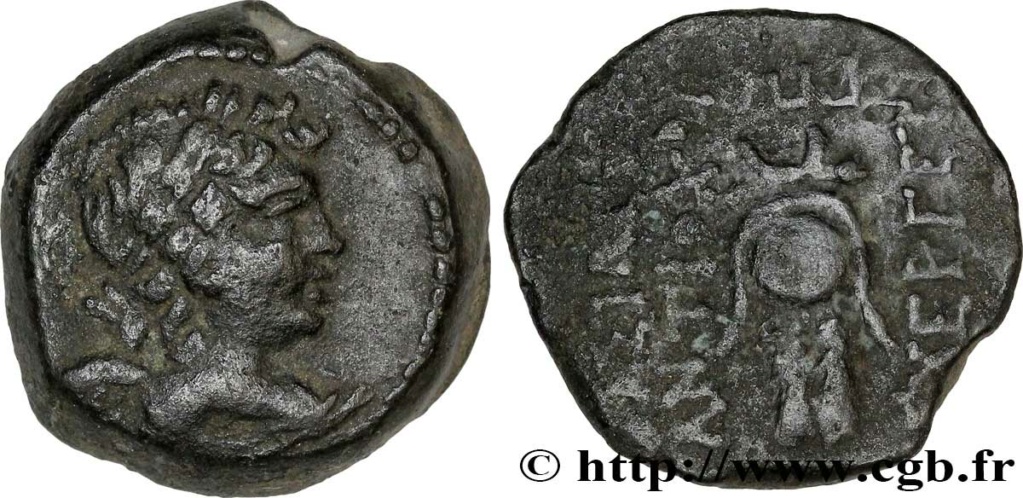 Syrie Royaume Seleucide Antiochus VII Sidetes 175 BC Bgr_3110