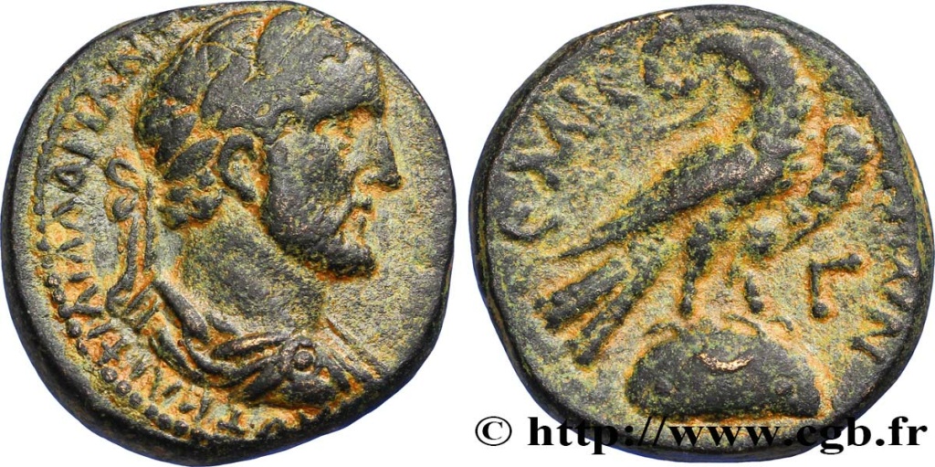 Bronze syrien d'Émese pour Antonin le Pieux ... Bpv_3010