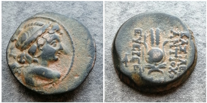 Syrie Royaume Seleucide Antiochus VII Sidetes 175 BC Pppp10