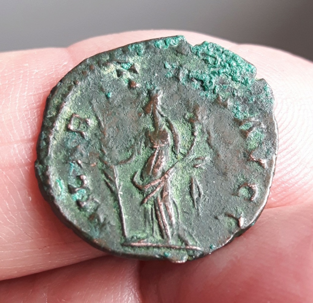 Antoninianus - Tetricus I HILARITAS AVGG Revers45