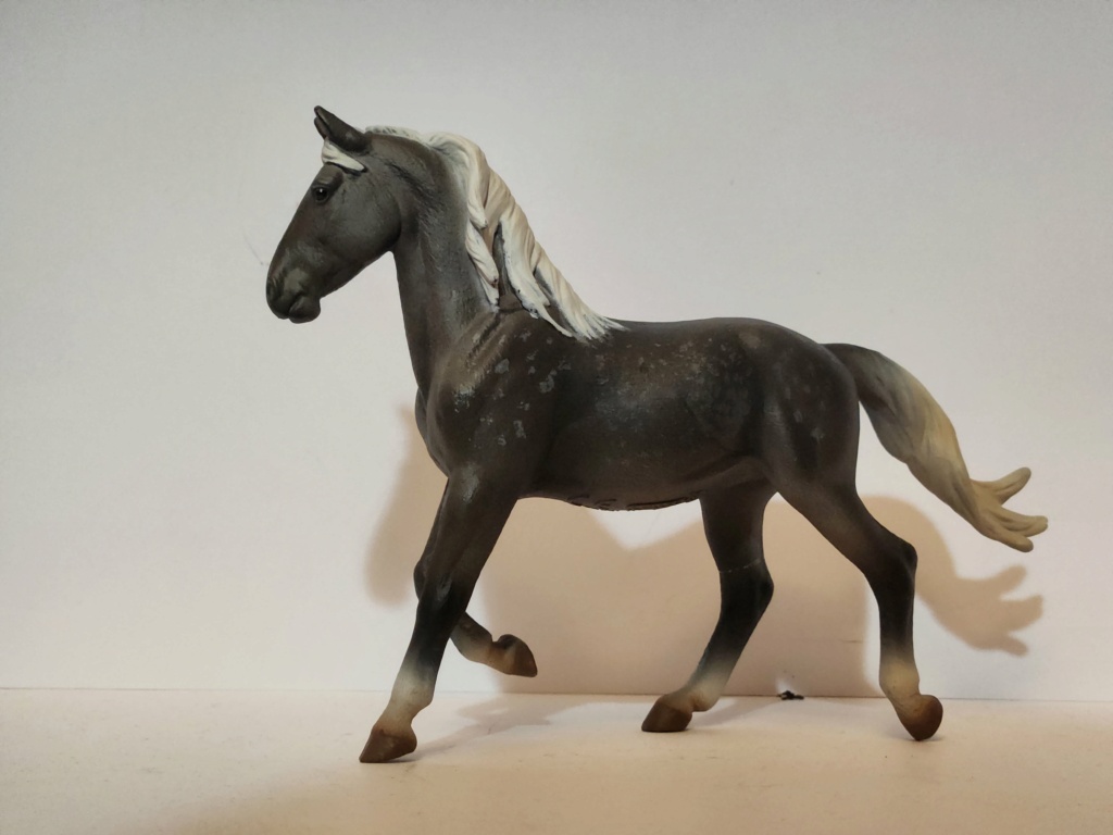 New Collecta-Camargue and Thoroughbred 20230230
