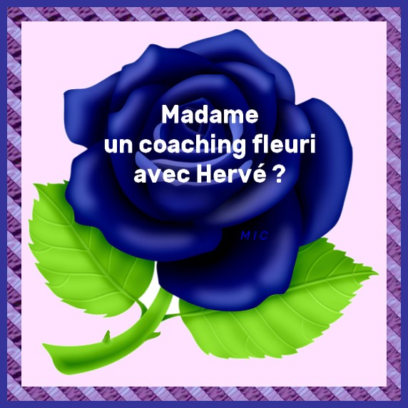 Le coaching d'Hervé