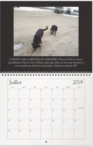Calendriers 2019 Juille11