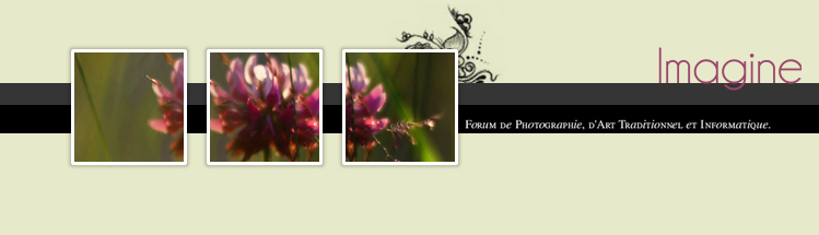 Pub & Partenariat. Header10