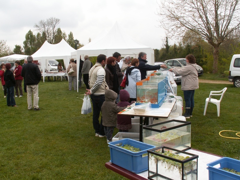 Salon du bassin et du jardin 18 et 19 avril 2009 St Vaize près de Saintes Pict0192