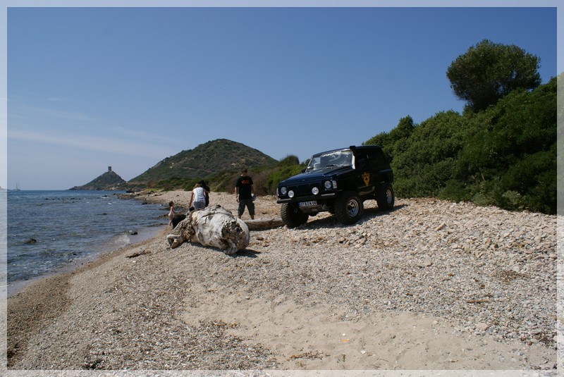 Retour de vacances en corse avec thomas (aout 2009). Dsc00412