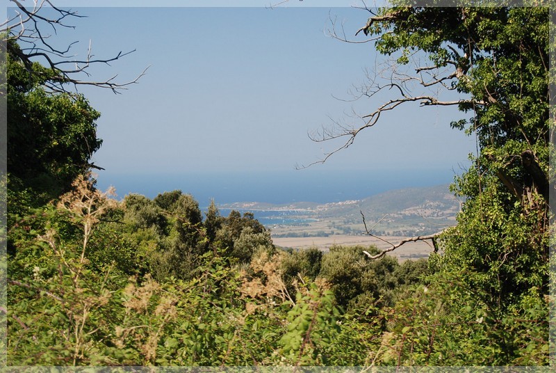 Retour de vacances en corse avec thomas (aout 2009). Dsc_0488