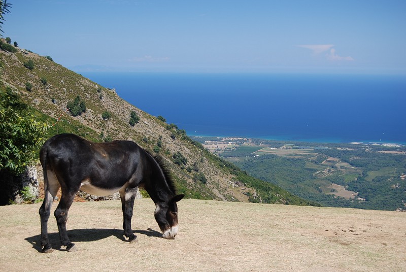 Retour de vacances en corse avec thomas (aout 2009). Dsc_0578