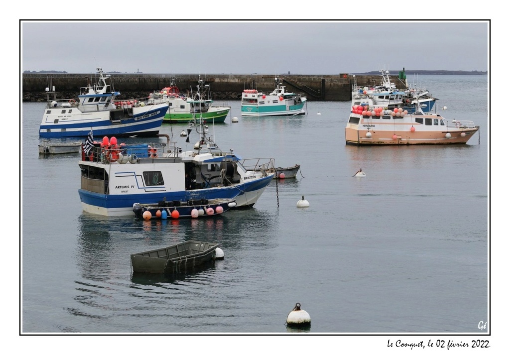 [VIE DES PORTS] Quelques bateaux de pêche (sur nos côtes Françaises) - Page 16 20220210