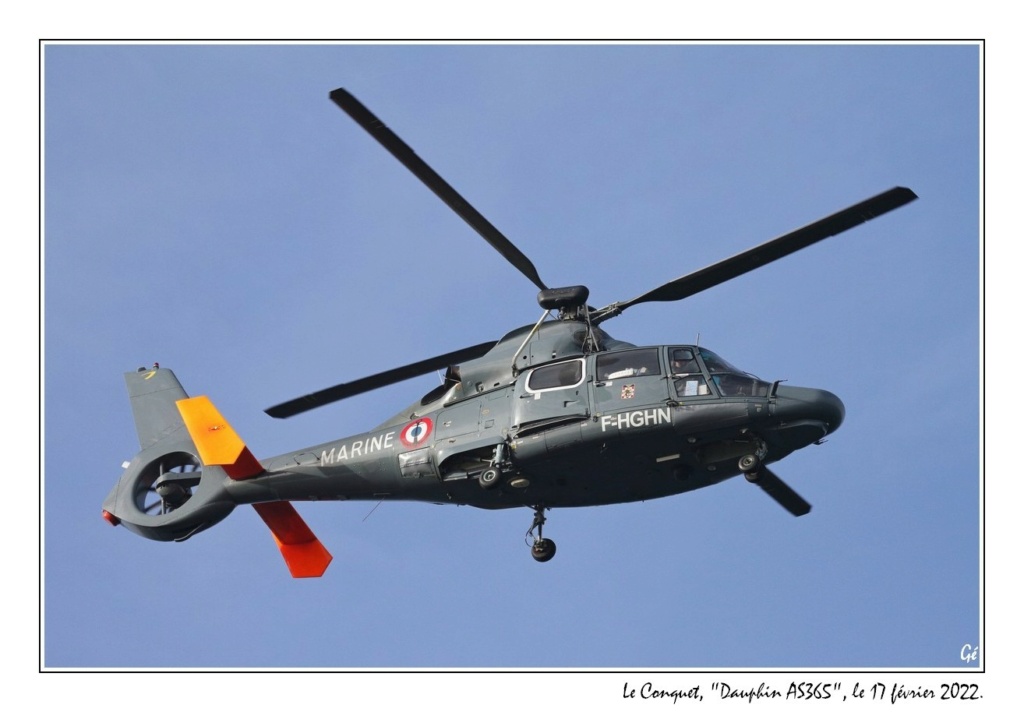 [ Aéronavale divers ] Hélicoptère DAUPHIN - Page 7 20220223