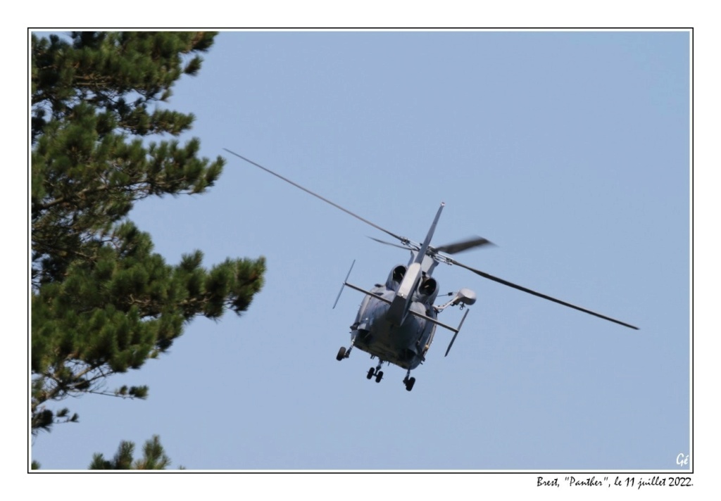 [ Aéronavale divers ] Hélicoptère DAUPHIN - Page 7 20220720