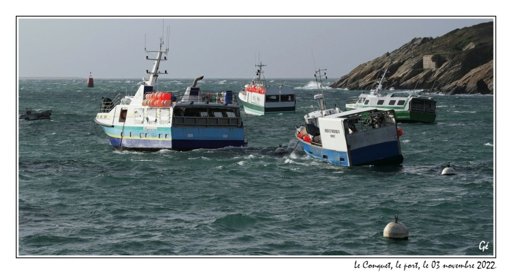 [VIE DES PORTS] Quelques bateaux de pêche (sur nos côtes Françaises) - Page 19 20221112