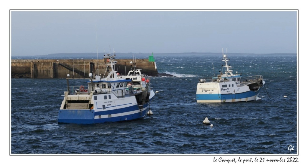 [VIE DES PORTS] Quelques bateaux de pêche (sur nos côtes Françaises) - Page 19 20221117