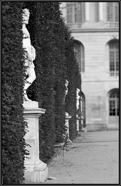 Partie de cache-cache dans les jardins de Versailles Img_7819