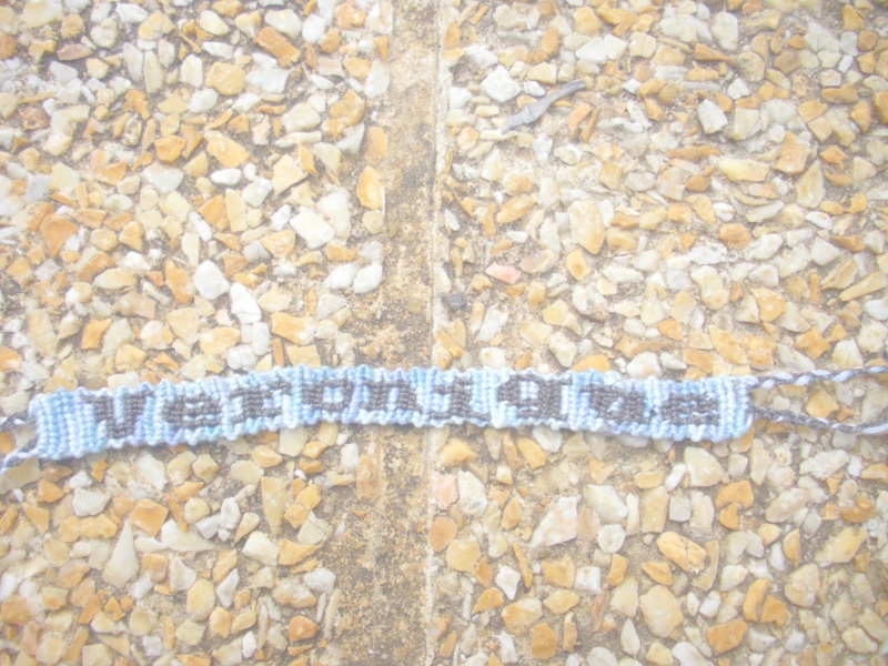 Les bracelets de FLEURDEMETAL Dscn1314