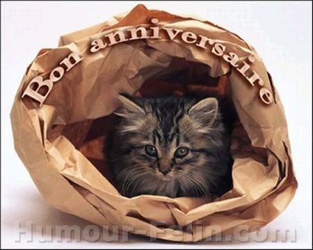 Joyeux Anniversaire Caroline Joyeux Anniversaire Caroline