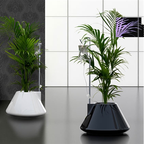 [Pot] IV Planter : nourrissez votre plante en intraveineuse 0284