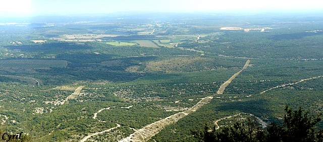 Panorama Panora15