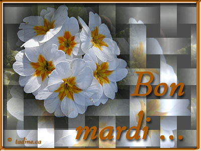 Bon Mardi a tous xxxxxxxxxxx 00110