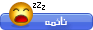 برنامج الوافي الذهبي للترجمة العربية نسخة محمولة Pi-ca-33