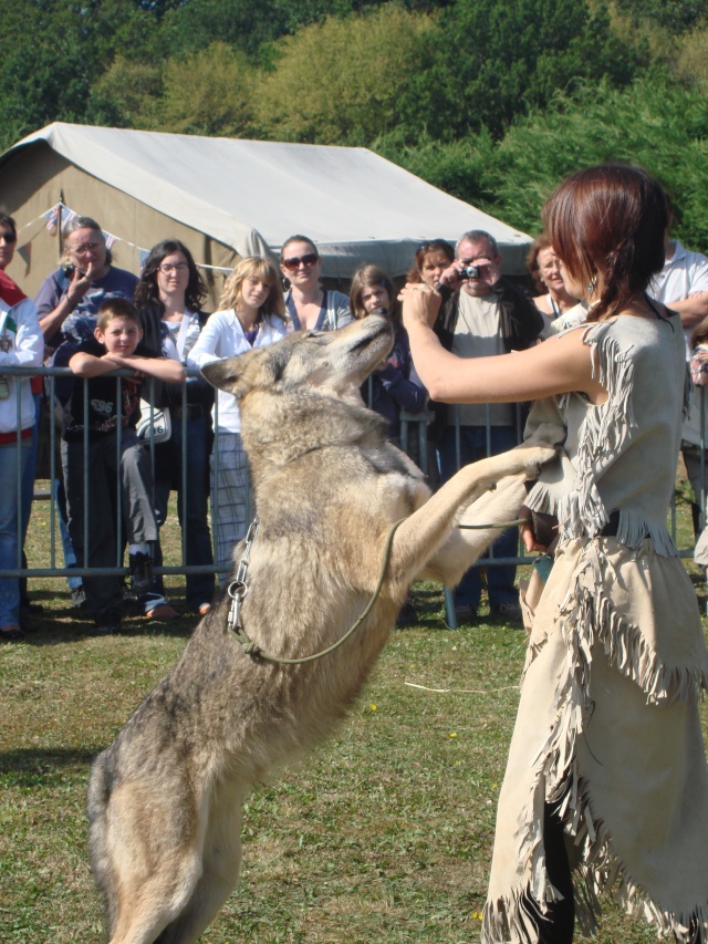 loup - La Journée Du Loup (13 Septembre 2009) Museol22