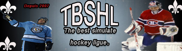 The best simulate hockey ligue