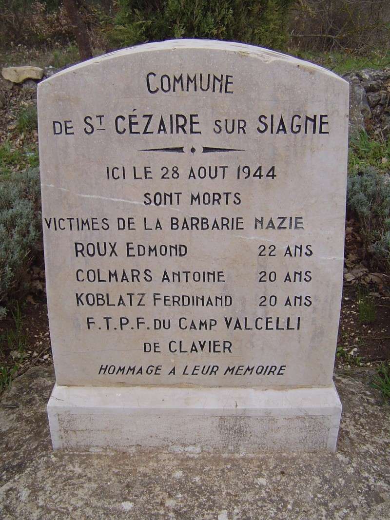 3/517 - La bataille de St Cezaire Dsc03617