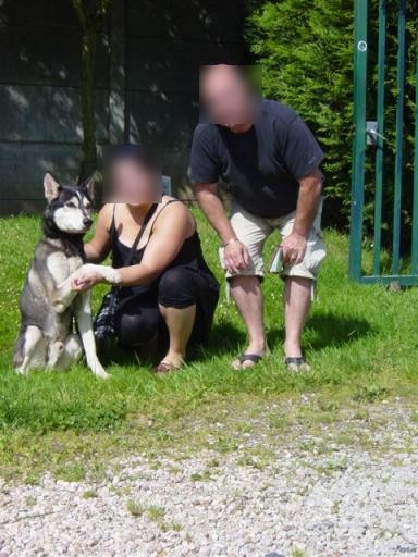 ULYSSE husky mix (m) 1999spa sarrebourg 57 (ADOPTE) Hunde_10