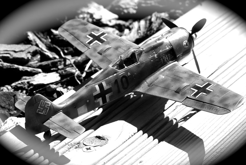 Focke Wulf Fw190 F8 1/48 Tamiya.... un de plus.... Imgp1121