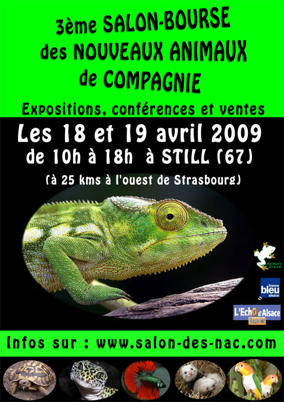 3 me salon des nac !! en  ALSACE  18 et 19 avril Flyer-12