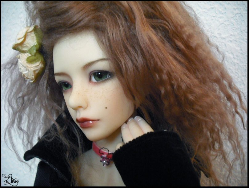 [ Dollmore Zaoll Luv ] °°° Pristyne °°° - nouveau pull p. 6 008-8010