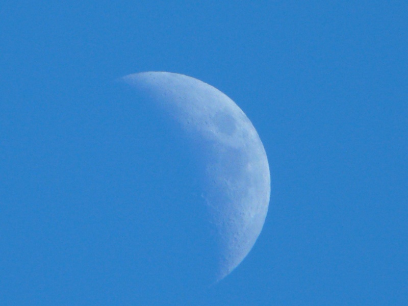 lune de jour Lune_d10