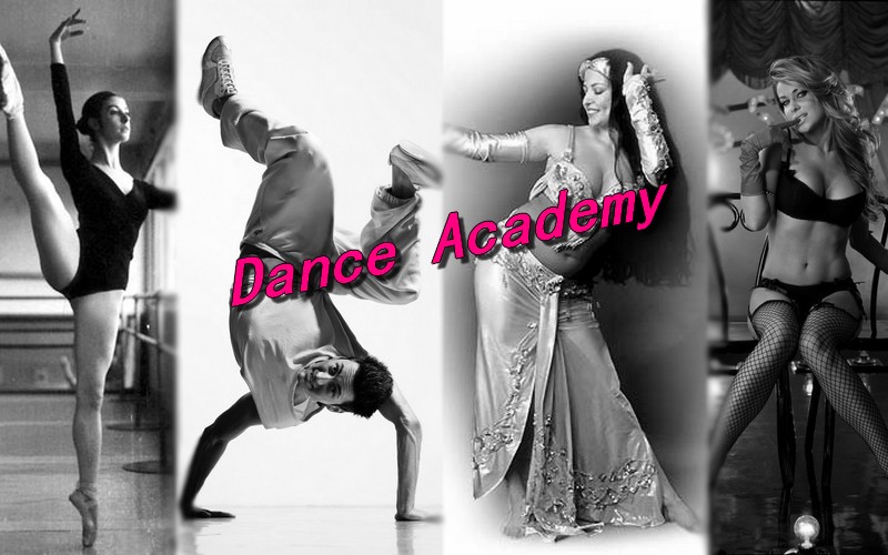 ~ Dance Academy