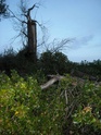 Attention aux orages Gros_a10