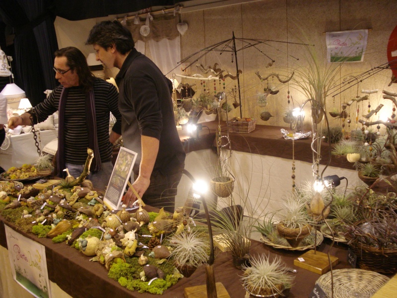 Quelques stands à la foire exposition de Dreux le 8/03 Dsc00766