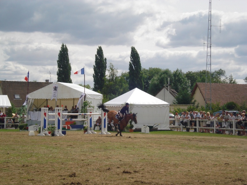 Le 2/8 c'était le concours d'équitation à Ezy sur Eure! Dsc04267