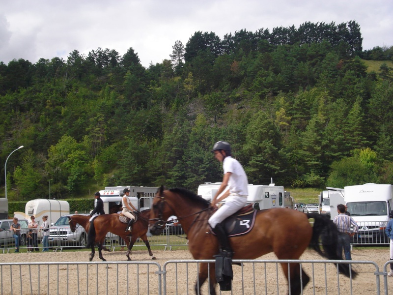 Le 2/8 c'était le concours d'équitation à Ezy sur Eure! Dsc04269