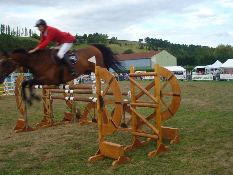 Le 2/8 c'était le concours d'équitation à Ezy sur Eure! Dsc04285