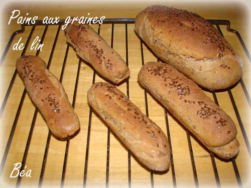 pains aux graines de lin Dsc05611
