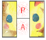 ♪ Plate ♥ Art's ♫ Pikach11