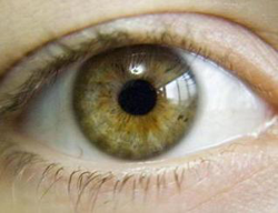 عين اصطناعية تهب البصر بعد 30 سنة من فقدانه 71108010