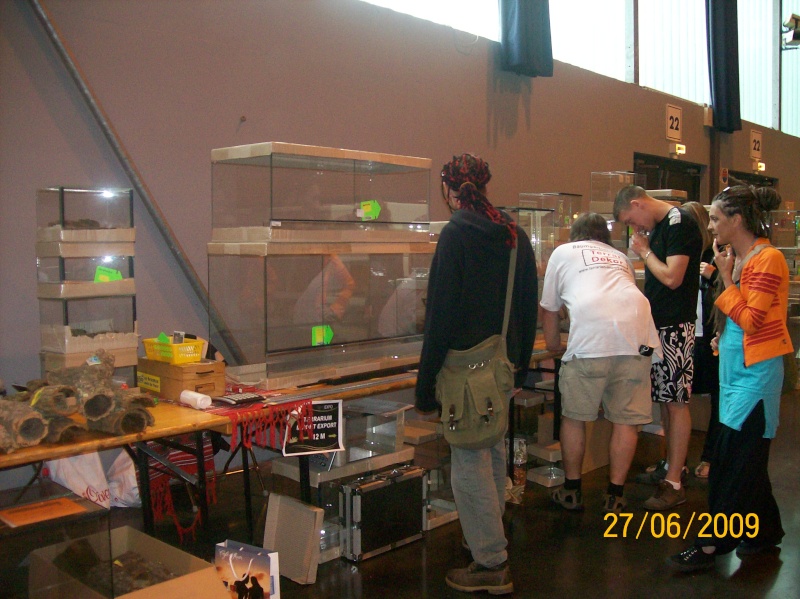 Expo reptiles Arras 2009 (Photos) 100_8549