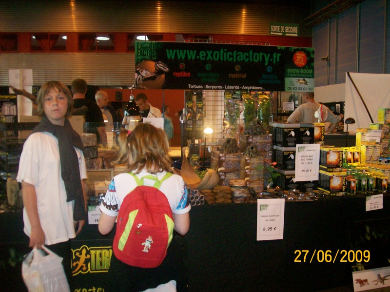 Expo reptiles Arras 2009 (Photos) 100_8556