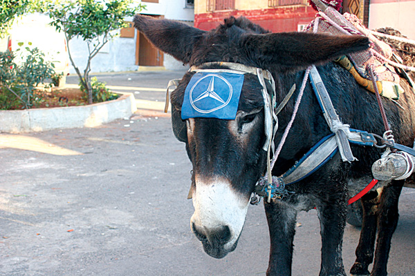 TRANSPORT ET VEHICULES AU MAROC Ane10