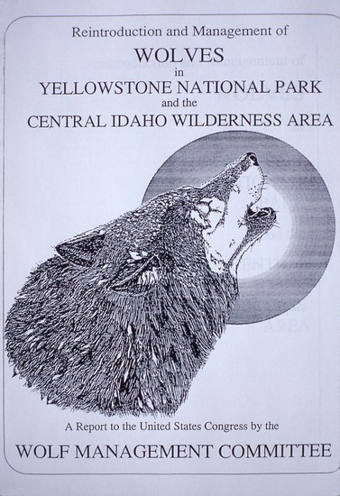REPORTAGE : le Yellowstone Park 1556210